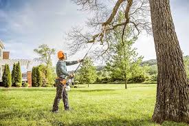 Best Lawn Mowing  in Golden Beach, MD